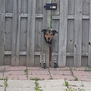 Meet your Posher, Denise